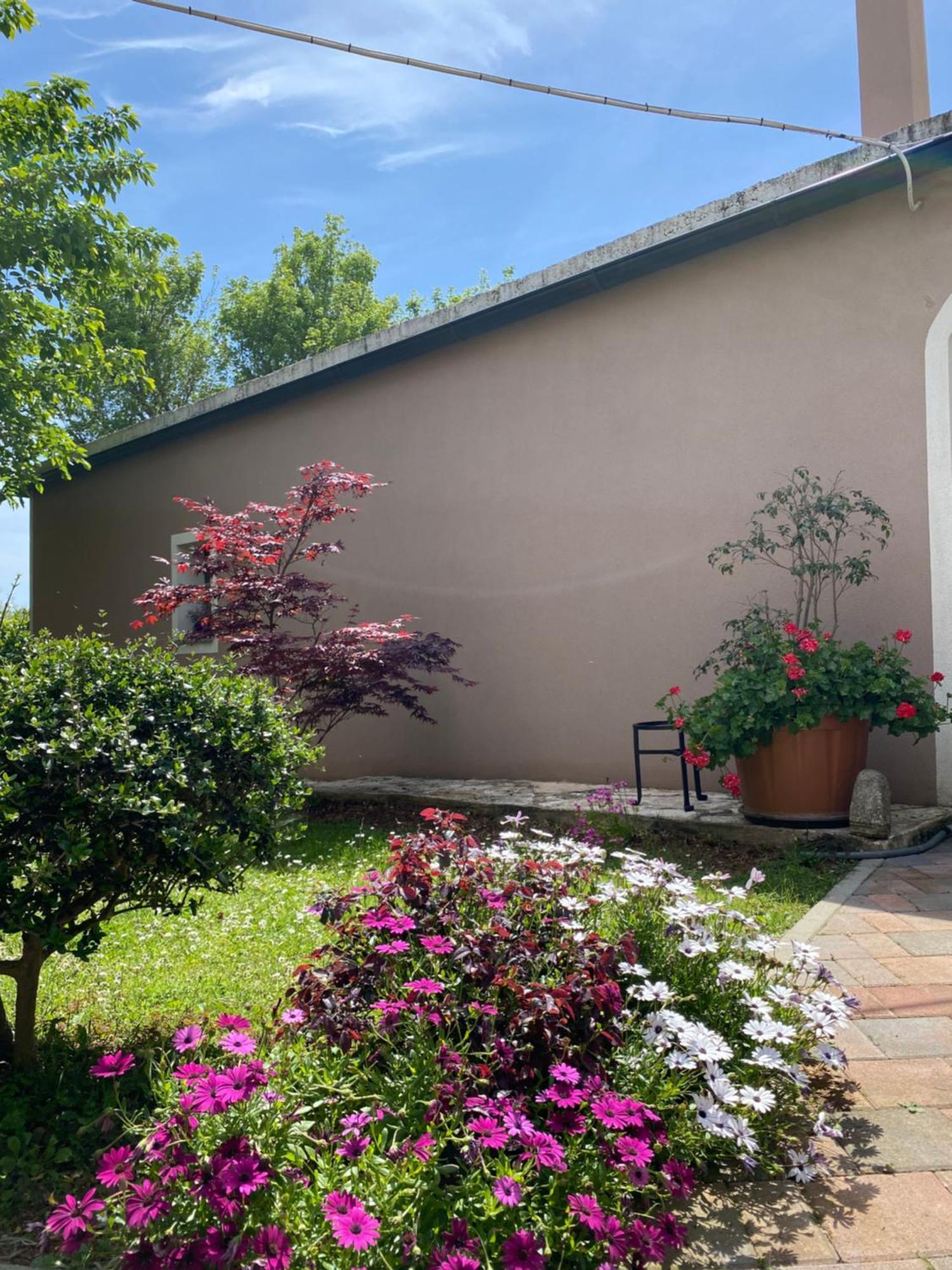 Apartman "Almond House 2" Pula Exterior photo